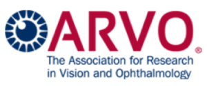 arvo