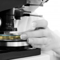 contract Histopathology