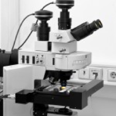contract Histopathology